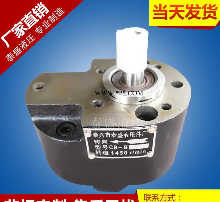 CB-B50齿轮油泵 BM50 B50F耐磨液压油泵B50T图3