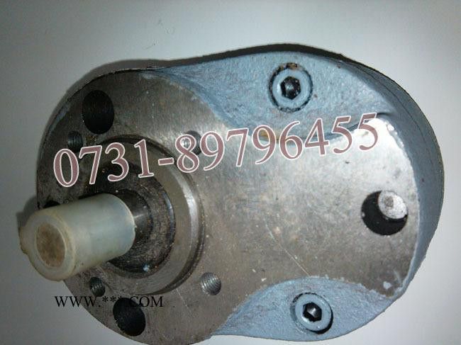 湖南机床G607圆锯床配件-齿轮油泵图3