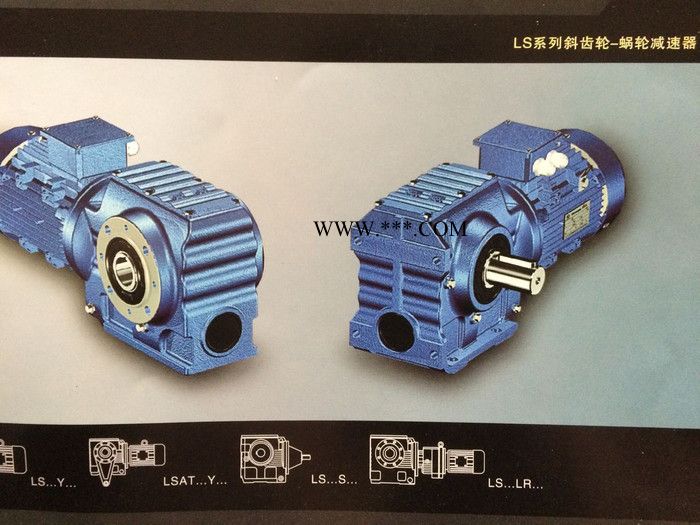 四大系列减速机之[LS]蜗杆-蜗轮减速机【减速器】图3
