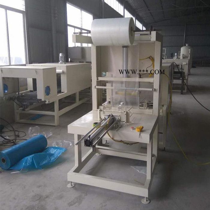 【大城晖晨耀】 矿泉水玻璃水包装机 包装机图5