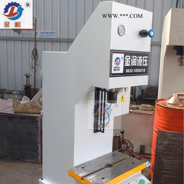 金利牌SY系列减速器型材高精度数字校直机 5吨单臂液压机图2