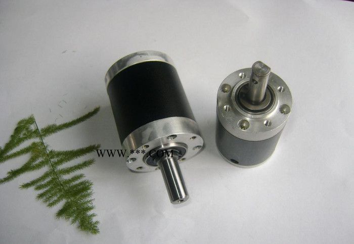 直径40mm行星齿轮减速器图2