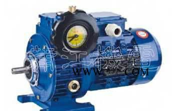 广东无段数减速器 UDL无段数减速机+摆线针轮图2