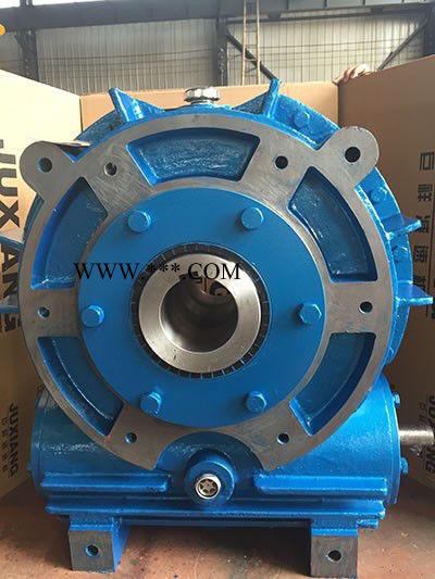 天津威尔森CWS250-16-3F CWU圆弧齿圆柱蜗杆减速器图3