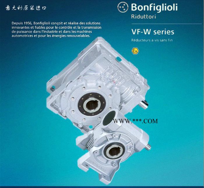 邦飞利减速机，意大利减速机，BONFIGLIOLI减速器，VF30图3