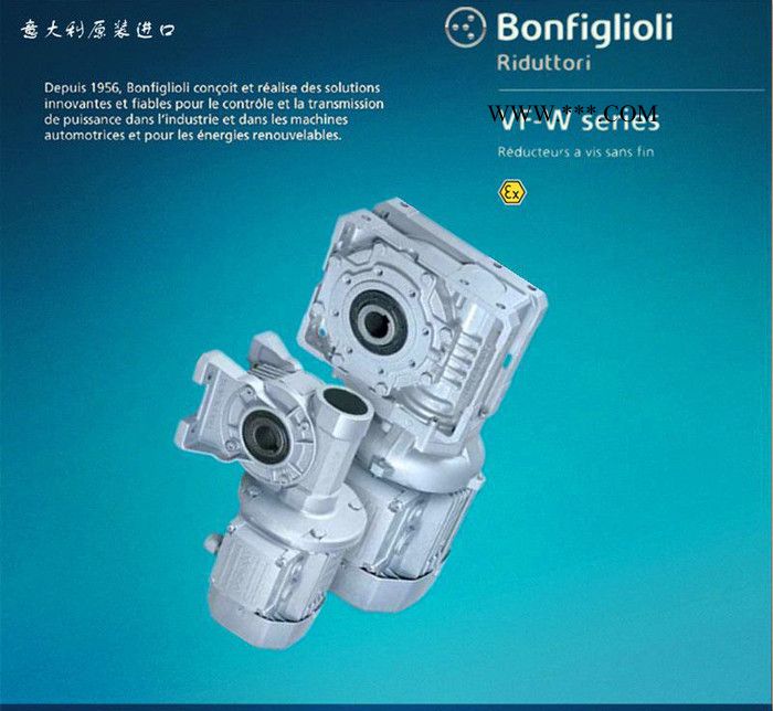 苏州代理意大利邦飞利减速机现货BONFIGLIOLI减速器 VF49系列图2