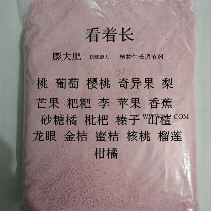 供应果友 冬枣糖青发白 冬枣发白增红剂 冬枣三件套 冬枣增糖剂 冬枣除锈剂图5