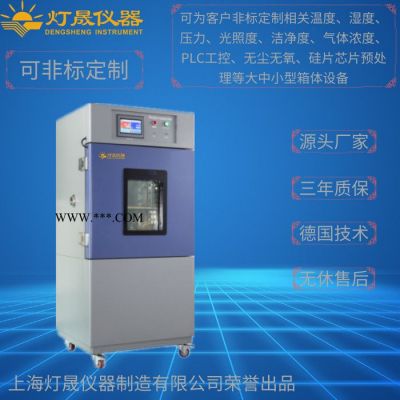 HMDS基片预处理箱DS-HMDS-250上海厂家现货直销 非标定制定做 真空镀膜机 镀膜系统