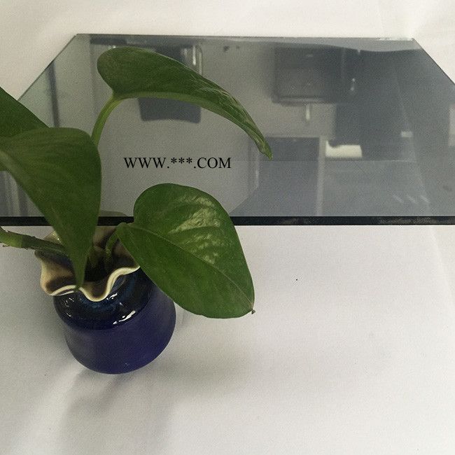 秦皇岛首博 厂家供应 镀膜玻璃图4