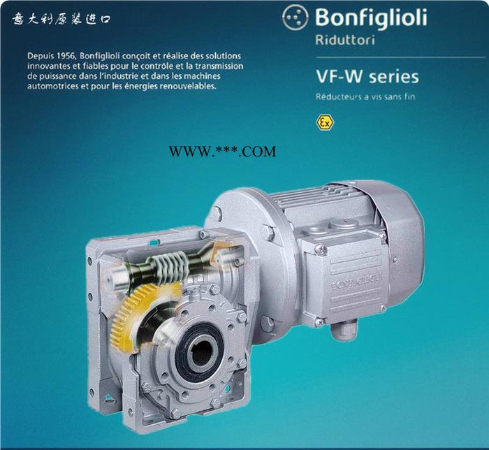 专业代理意大利邦飞利减速机，销售BONFIGLIOLI减速器，VF49系列图3