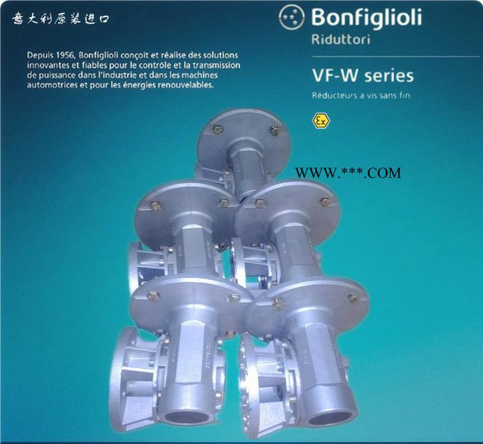 专业代理意大利邦飞利减速机，销售BONFIGLIOLI减速器，VF49系列图2