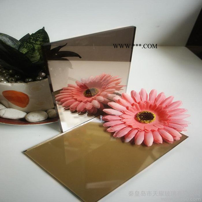 供应欧洲茶浮法镀膜玻璃图2