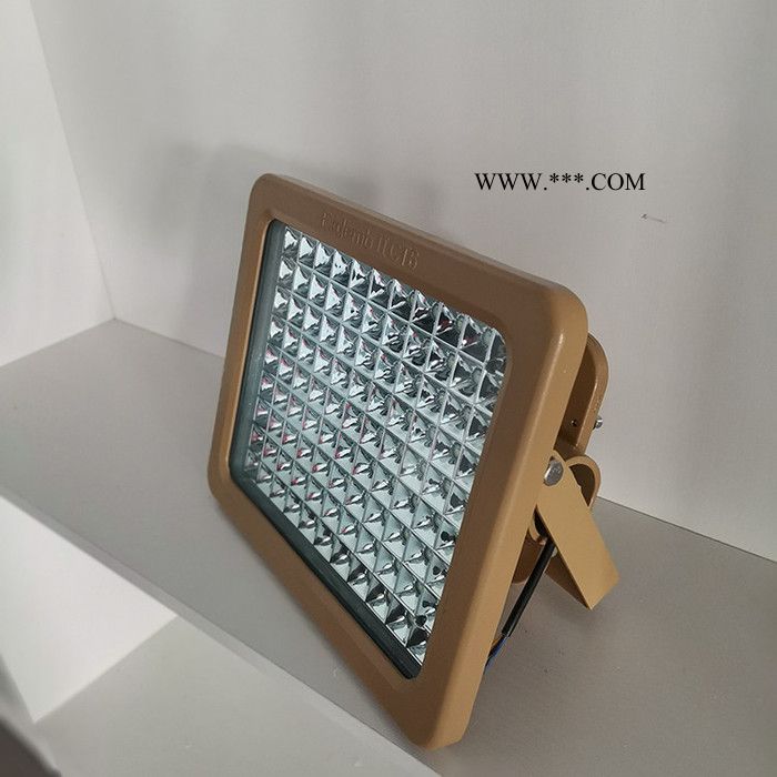 【德奥】 9102镀膜防爆反光灯 防爆镀膜反光灯 LED防爆反光灯生产厂家图5