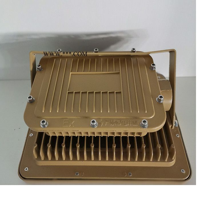 【德奥】 9102镀膜防爆反光灯 防爆镀膜反光灯 LED防爆反光灯生产厂家图4