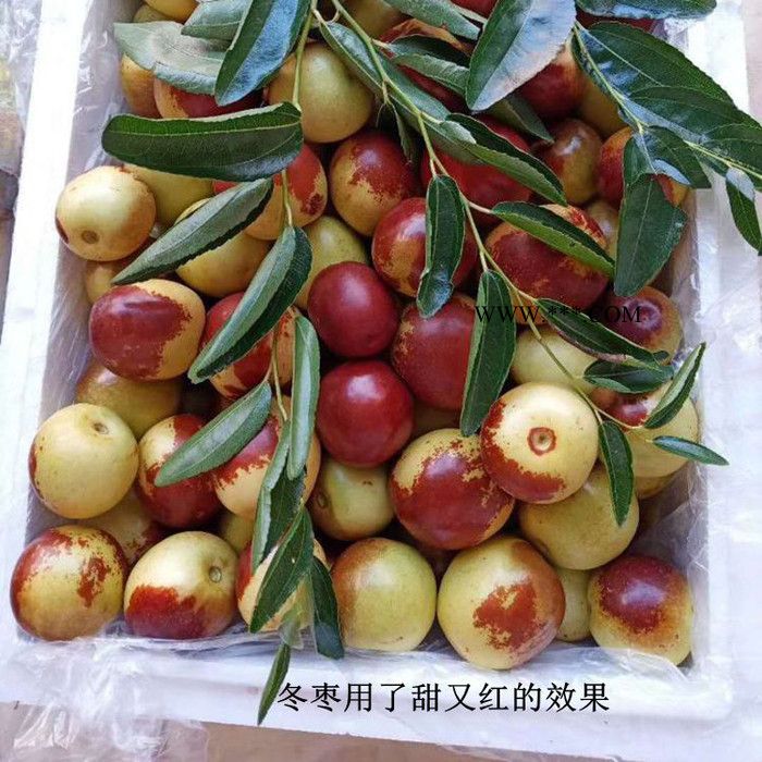 供应果靓  柑橘果靓剂  砂糖橘果靓剂  冬枣发白发亮剂 贡桔亮果着色  冬枣果靓剂  水果净化果面剂  水果除锈剂图3