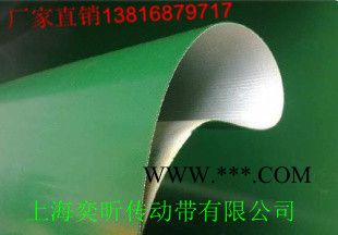 供应磁力皮带 镀膜机皮带 通过式裁断机皮带图2