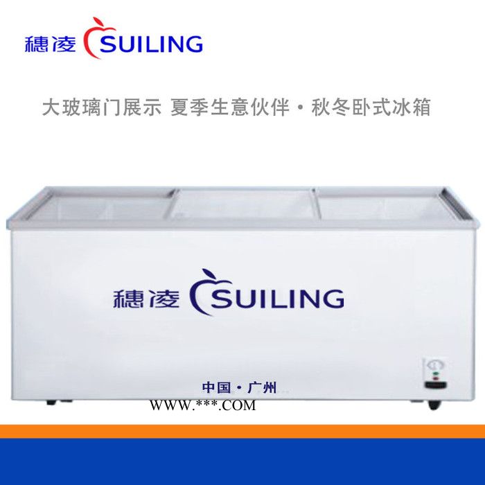 穗凌冰柜WD4-668 卧式 冷冻 展示柜 冷柜镀膜钢化玻璃图3