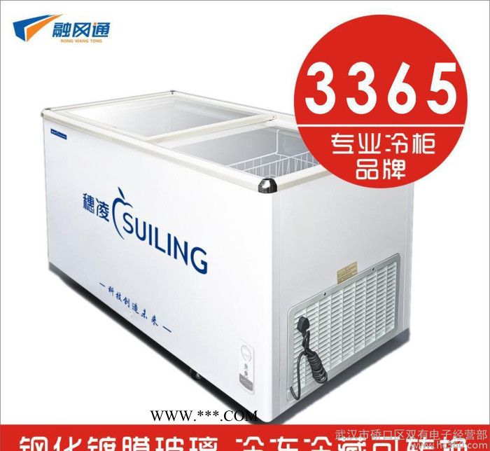 穗凌冰柜WD4-668 卧式 冷冻 展示柜 冷柜镀膜钢化玻璃图2