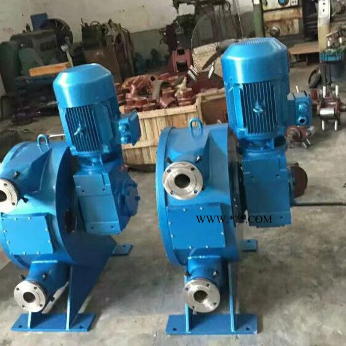 锐驰机械卧式软管泵 离合器分泵软管 大型软管泵**图4