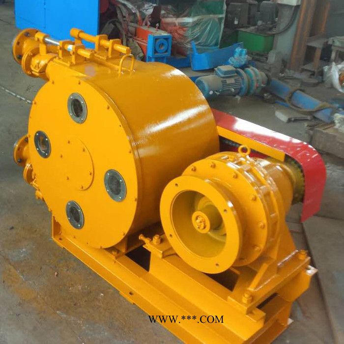 锐驰机械卧式软管泵 离合器分泵软管 大型软管泵**图6