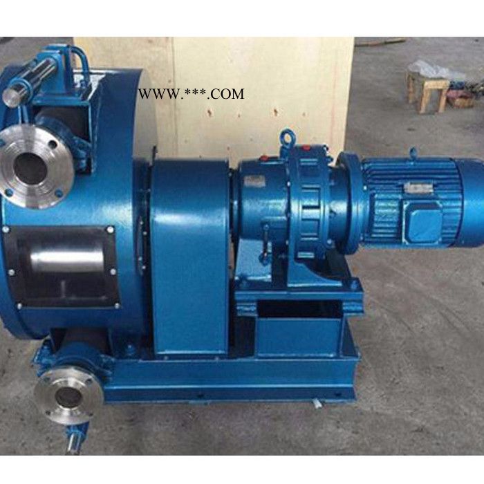 锐驰机械卧式软管泵 离合器分泵软管 大型软管泵**图2