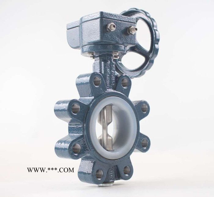 硅胶凸耳蝶阀 涡轮蝶阀 双半轴凸耳蝶阀图2