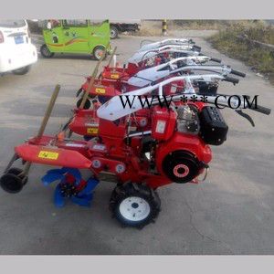 柴油动力开沟机 带差速器的微型田园管理机 大葱开沟培土机图3