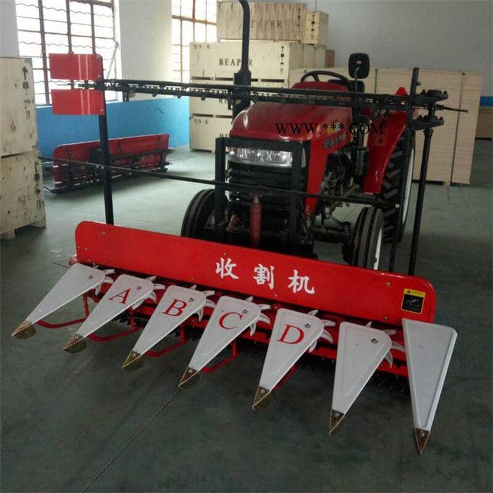 内置差速器自走式割晒机   苜蓿草收割机报价  牧草薄荷收割机视频图8