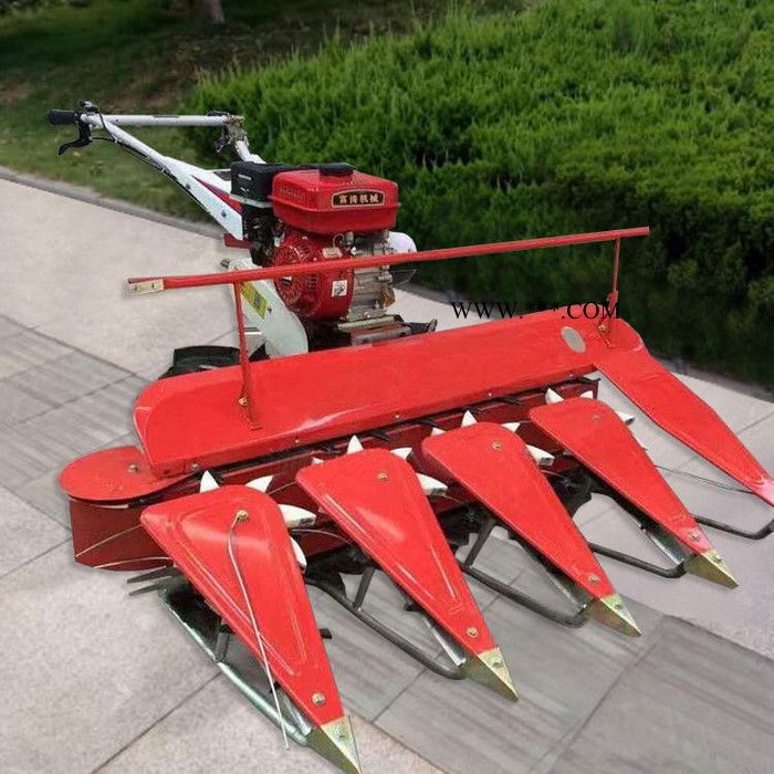 内置差速器自走式割晒机   苜蓿草收割机报价  牧草薄荷收割机视频图5