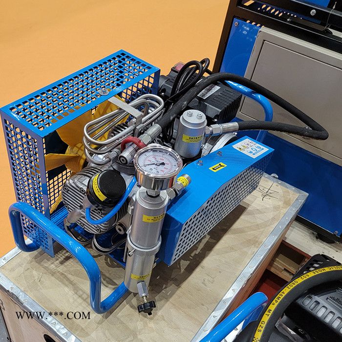 智创 ZC  呼吸空气压缩机 高压空气压缩机 立式呼吸空气压缩机