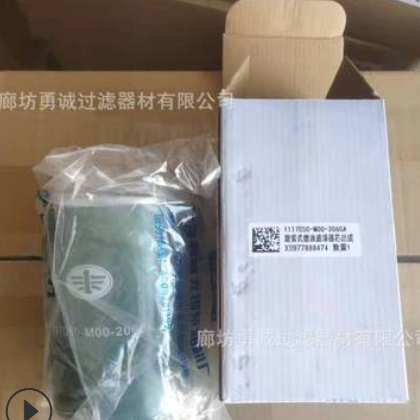 现货供应1012010-M18-054W滤发电机组配件工程机械挖掘机配件图3