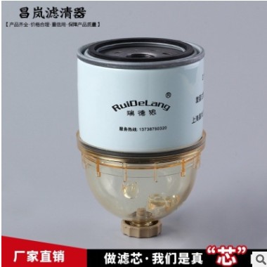 厂家直销 改装燃油滤清器 汽油滤清器汽油格 DX300燃油水分离器图2