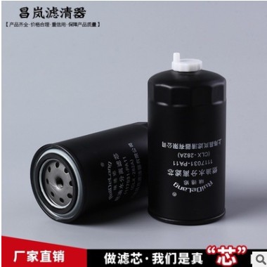 汽油滤芯 内置汽油滤清器1117031-PA11 （CLX-282A）燃油滤清器图2