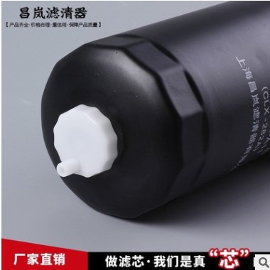 汽油滤芯 内置汽油滤清器1117031-PA11 （CLX-282A）燃油滤清器图1