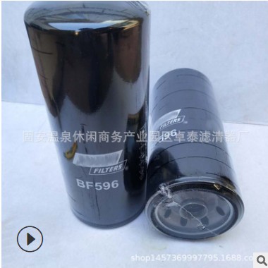 供应 BF593 P550928 25010959 TP-928 FF5021 P3595 柴油滤芯图2