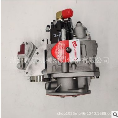 3086397适用于CCEC重庆康明斯船用发动机PT燃油泵/3086397图3