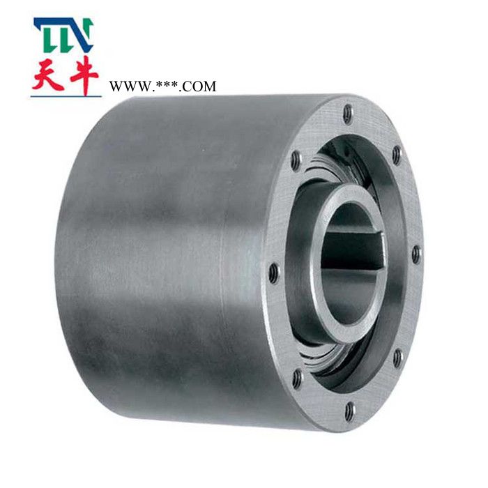 天牛厂家供应SMZ20 SMZ30 SMZ35 SMZ45单向楔块凸轮离合器 单向离合器图4