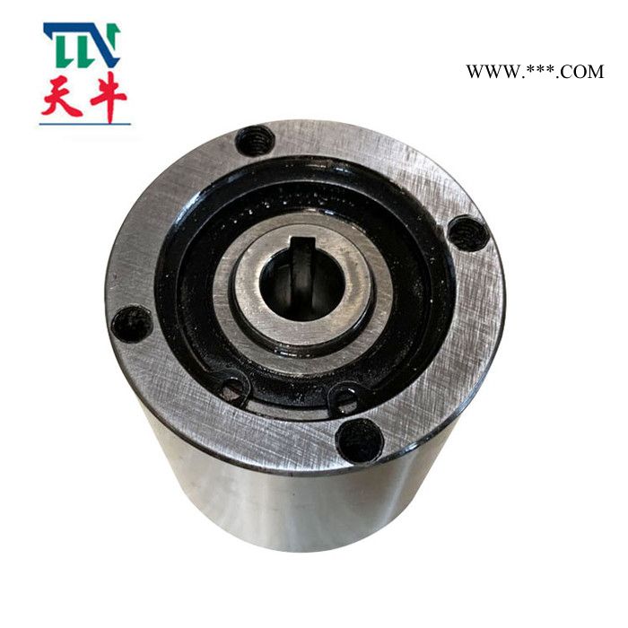 天牛厂家供应DN62*56-15双向离合器逆止器图3