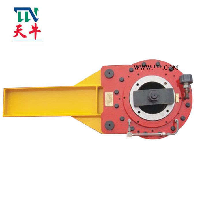 天牛**DSN (NJD)1700 低速重载离合器逆止器图4