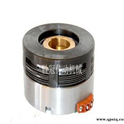 DLM9-250A湿式多片电磁离合器   DC24V