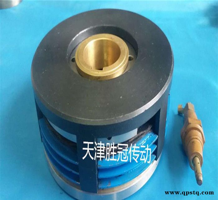 DLM10-400AG多片电磁离合器图1