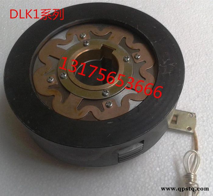 干式多片电磁离合器 DLK1-25A DLK1-25 24图2