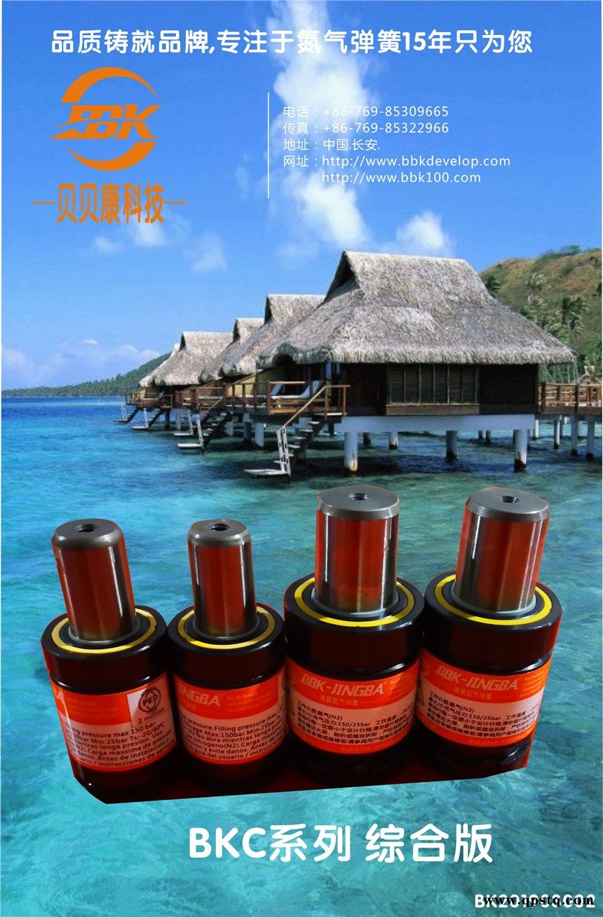 BKB100.0-250-660 300-760汽车模氮气弹簧图1
