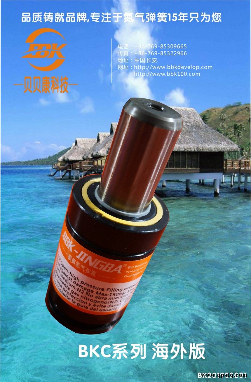 BKB100.0-125-410 160-480 200-560氮气弹簧图1