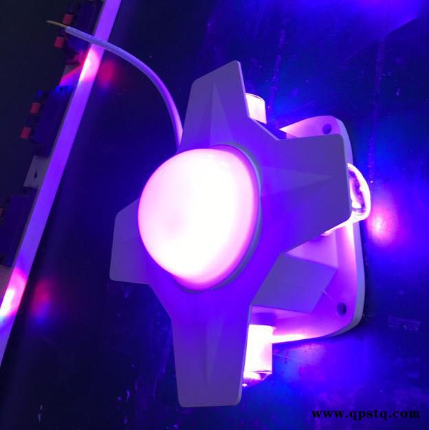 LED十字星光灯 邦嵘照明 LED四角灯 洗墙灯厂家 中山十字星光灯图2