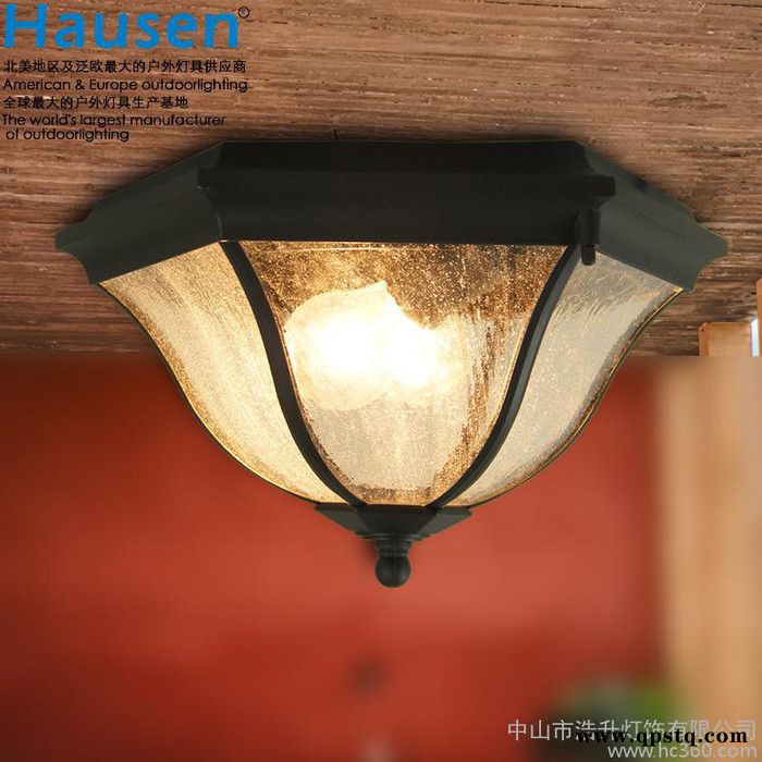 特价欧式防水户外吸顶灯复古八角灯走廊过道吸顶LED阳台卧室吸图2