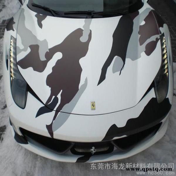 供应海龙厂家供应 亚光汽车大灯尾灯改色贴图3