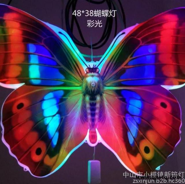 新筠XJ-D8 LED室外灯，LED八角灯，LED彩蝴蝶五角星图3