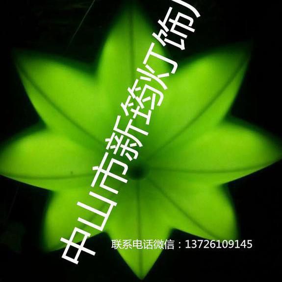 新筠XJ-D8 LED室外灯，LED八角灯，LED彩蝴蝶五角星图2