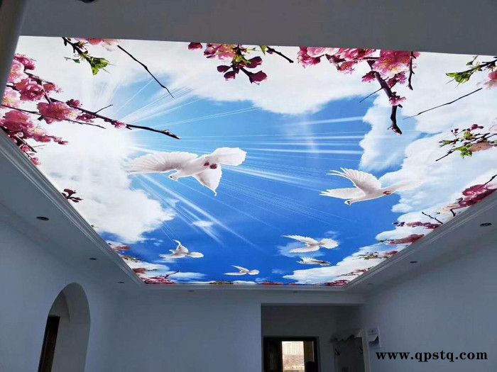 汕头软膜天花，汕尾灯膜厂家，湛江软膜天花，茂名软膜天花厂家，揭阳灯箱厂家，潮州软膜厂家，阳江软膜厂家，河源软膜灯箱厂家，图2